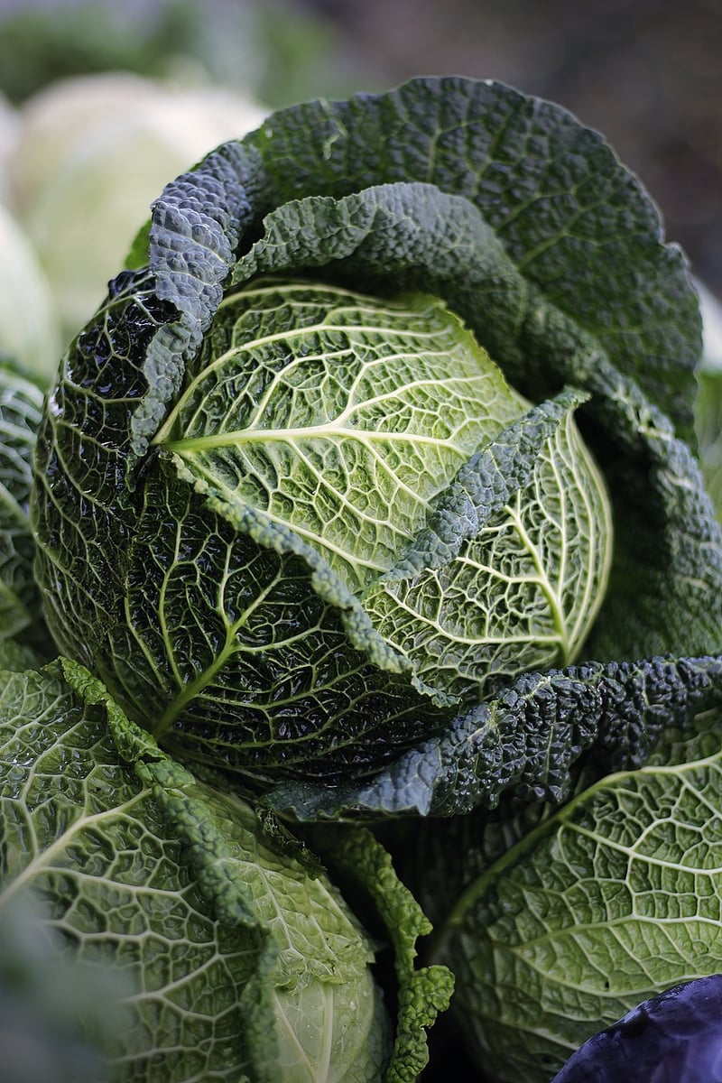 Zero-Waste Cooking